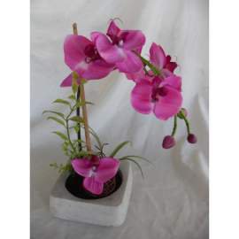 Orchidea- lila